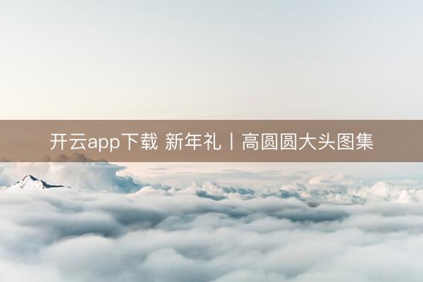 开云app下载 新年礼丨高圆圆大头图集