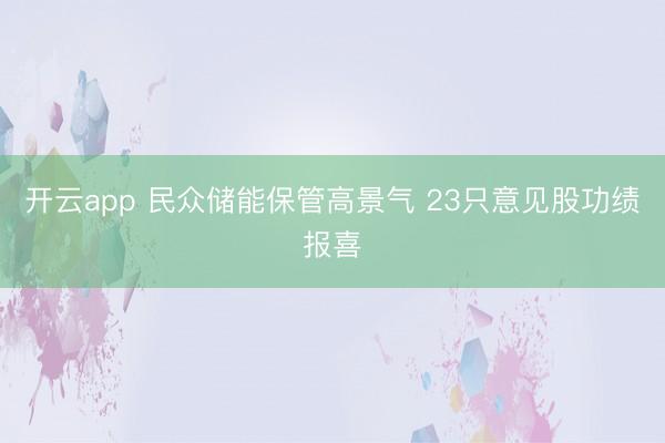 开云app 民众储能保管高景气 23只意见股功绩报喜